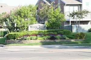 Wind Tree - Photo 2 of 4