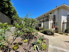 244 Chinquapin Ave #D - Photo 1 of 1