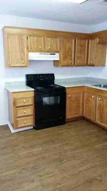 1803 N Tallowood Dr - Photo 3 of 14