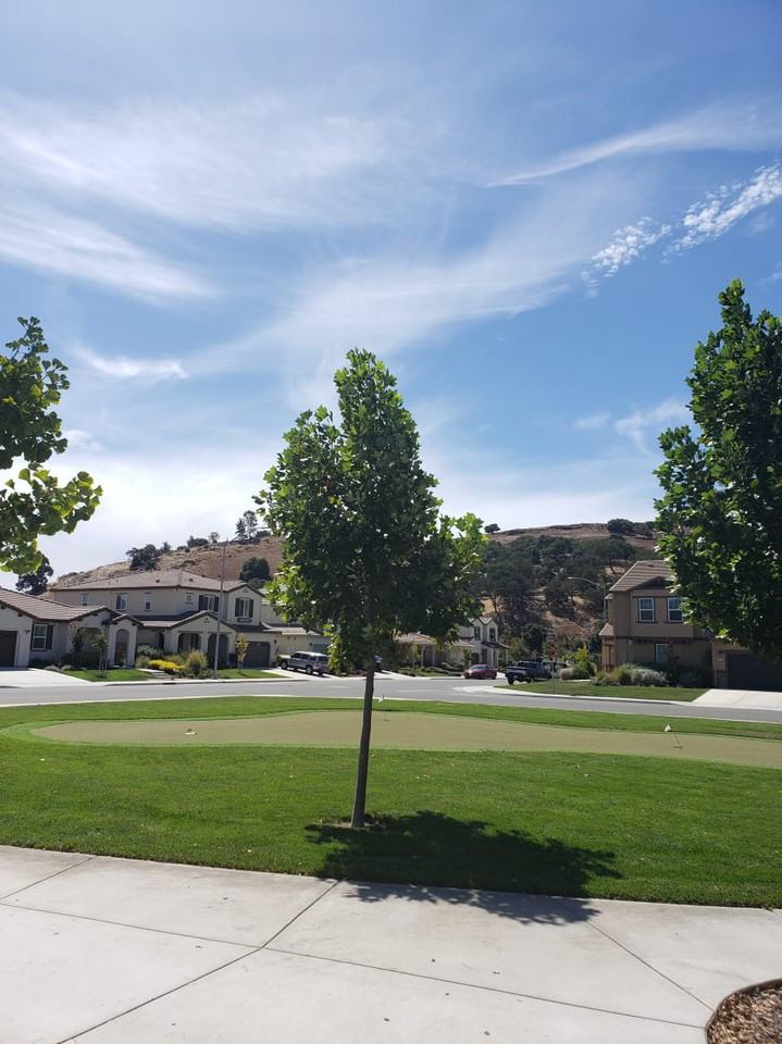 18921 Chicory Lane - Photo 2 of 13