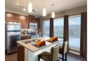 Broadstone Koi - Photo 3 of 31