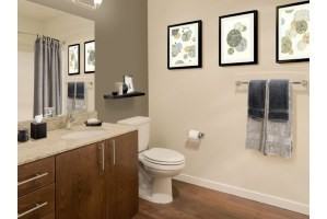 Broadstone Koi - Photo 2 of 31