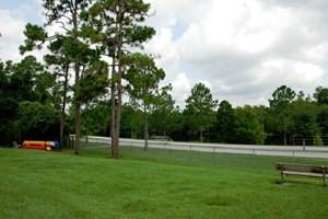 River Park Apartments - Photo 2 of 11