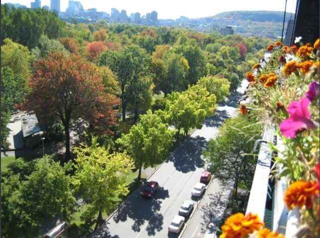 La Rochelle Apartments 1565 Rue Rachel Est Montréal QC Zumper