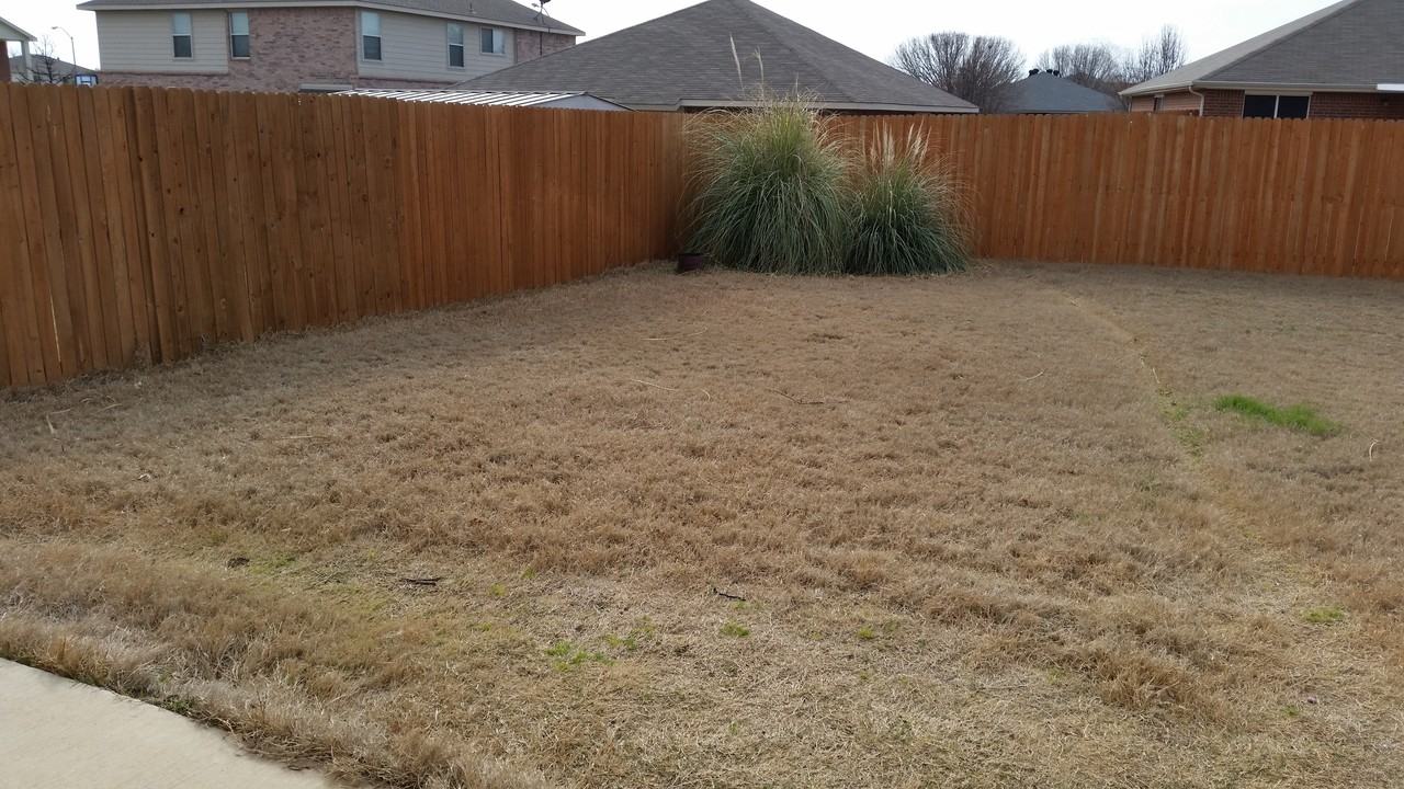 653 Condor Trail - Photo 2 of 18