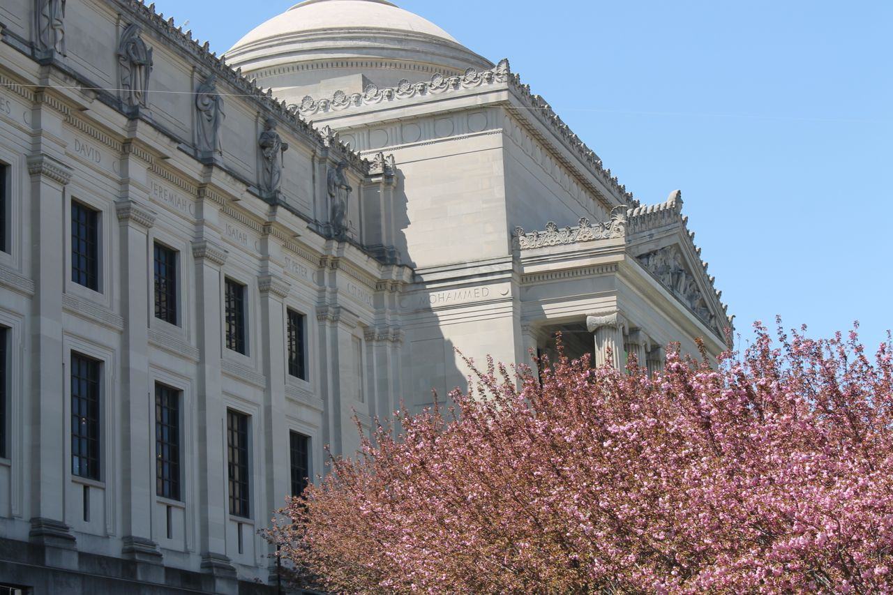 356 Saint Johns Place #10