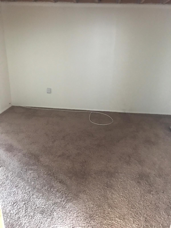 7143 Keystone St - Photo 5 of 11