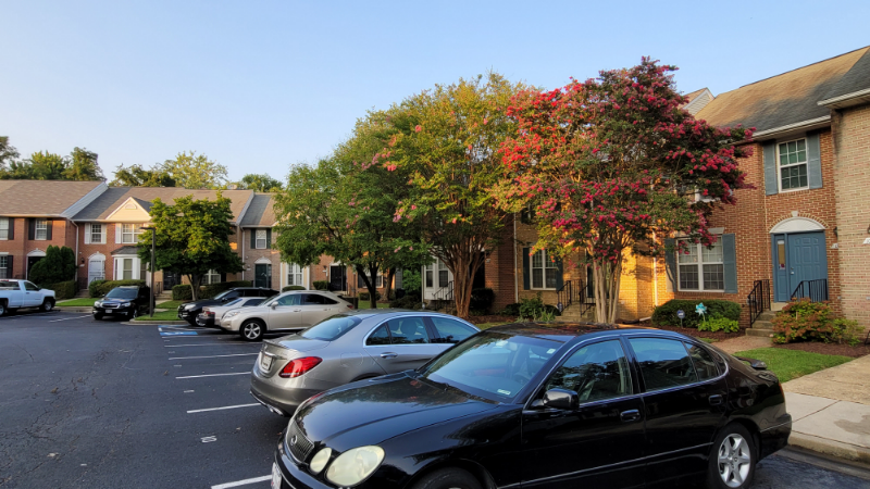 1017 Higgins Way - Photo 6 of 42