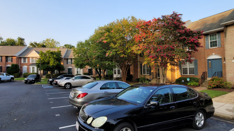 1017 Higgins Way - Photo 7 of 42