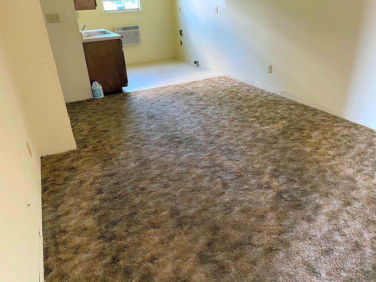 1613 19th Street Ensley - Photo 3 of 3