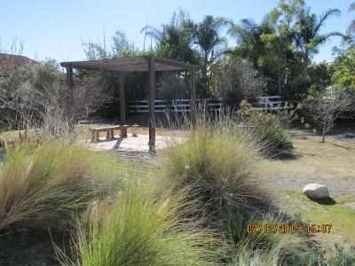 7880 Calle Dos Lagos - Photo 2 of 28