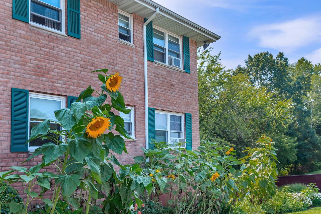 New City Gardens - Photo 4 of 13