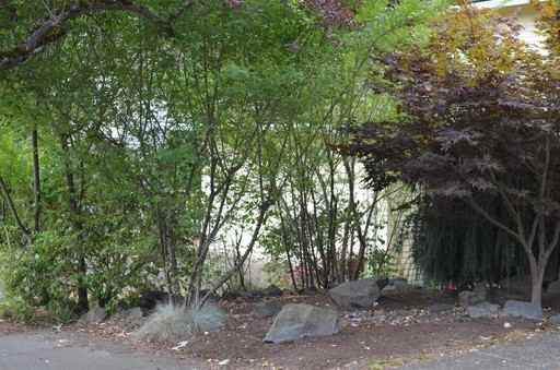 132 Kingsgate Rd - Photo 2 of 35