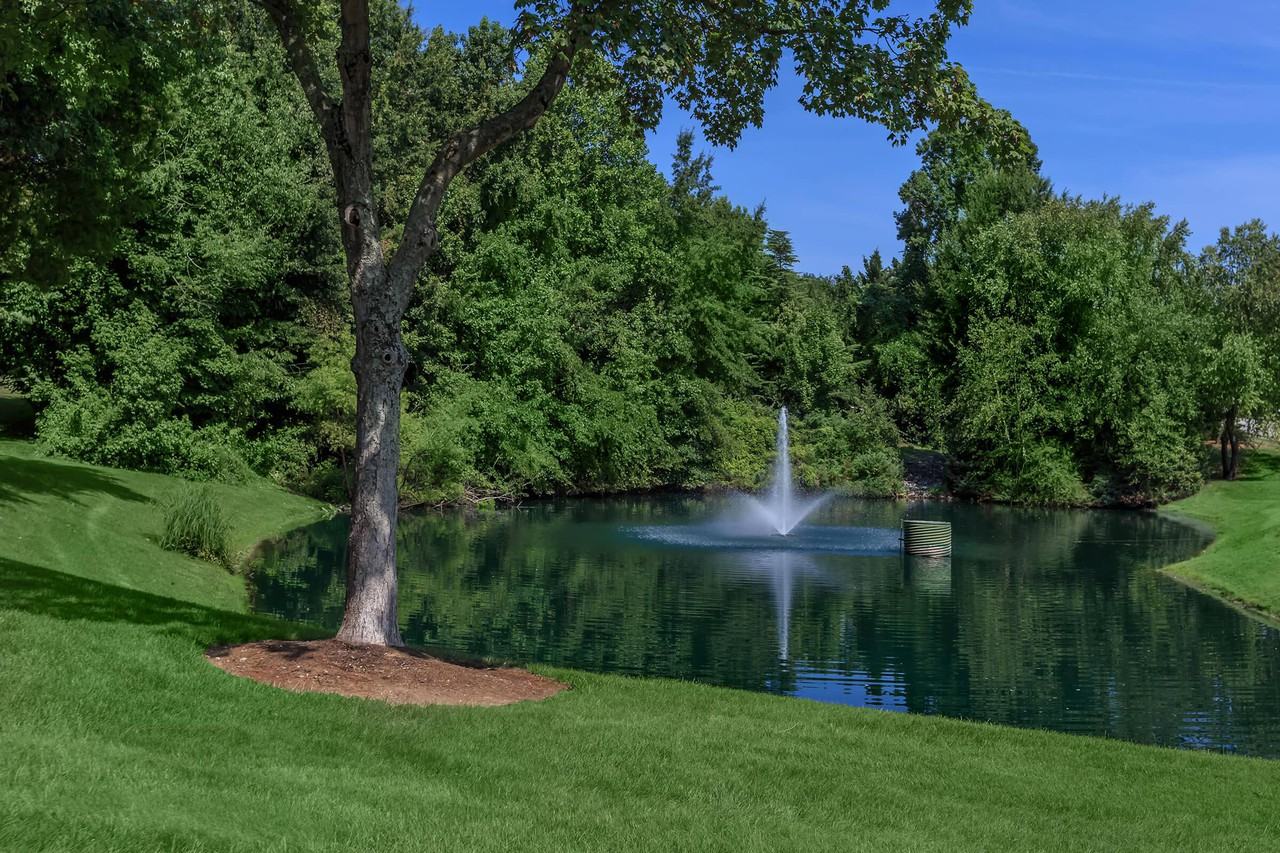 Huntsview Apartments - Photo 4 of 50