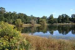 1210 Waverly Rd - Photo 2 of 18