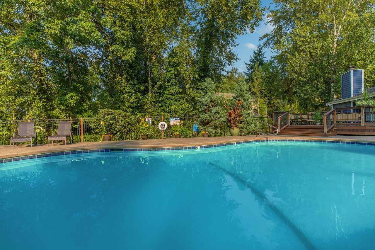 Pinewood Village Apartments - Photo 4 of 39