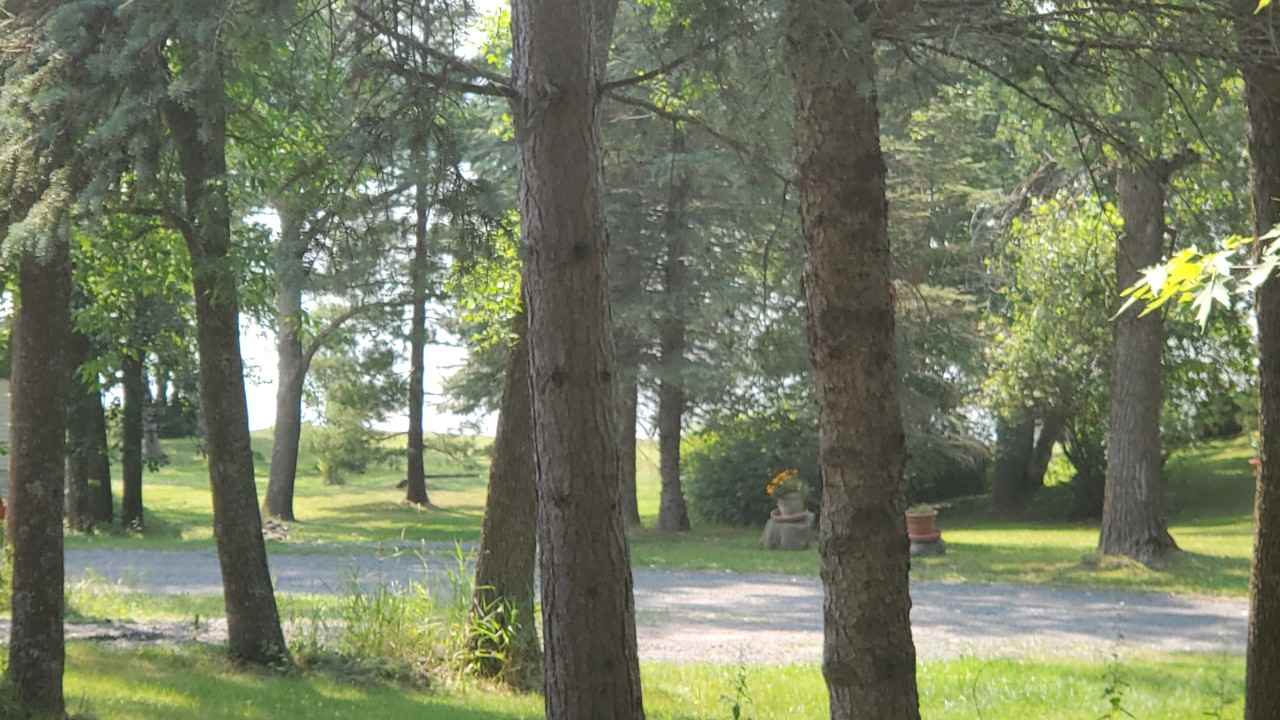 2318 Woodland Shrs - Photo 2 of 10