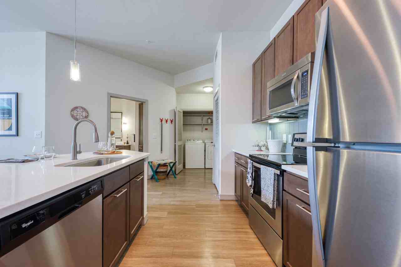 Agave - Photo 3 of 26