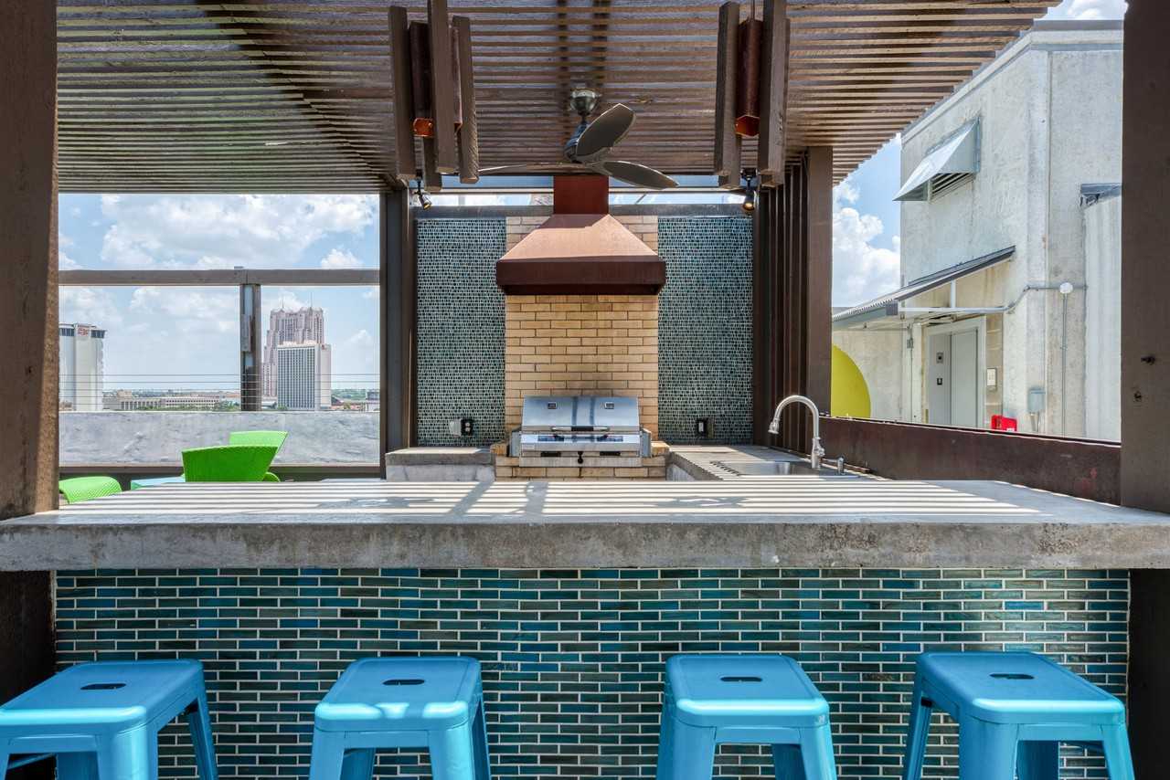 Agave - Photo 7 of 26