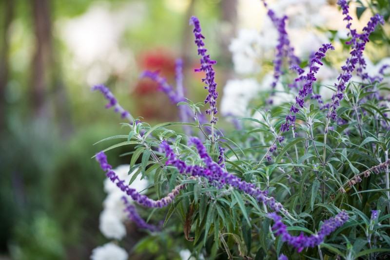 8714 Glenoaks Blvd - Photo 2 of 24