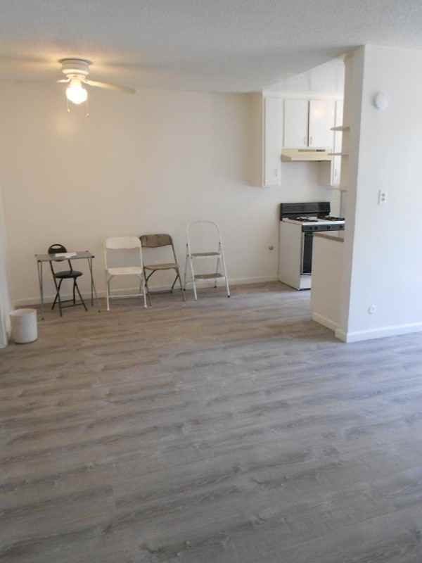 4702 Westth St - Photo 6 of 8