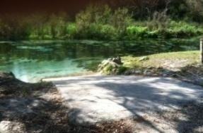 7063 Schering St - Photo 2 of 14