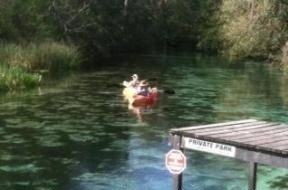 7063 Schering St - Photo 3 of 14