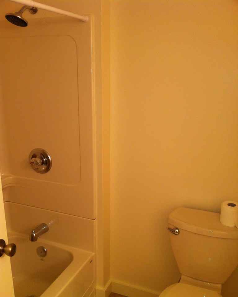 208 Williams Street #1 - Photo 5 of 11