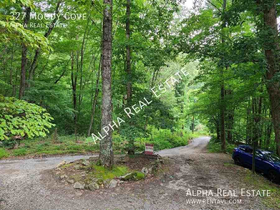 327 Moody Cove Rd - Photo 3 of 28