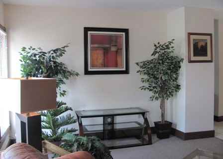 207 Williams St #2 - Photo 4 of 8