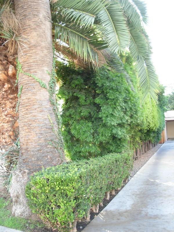 1310 N Spurgeon St #D - Photo 3 of 14