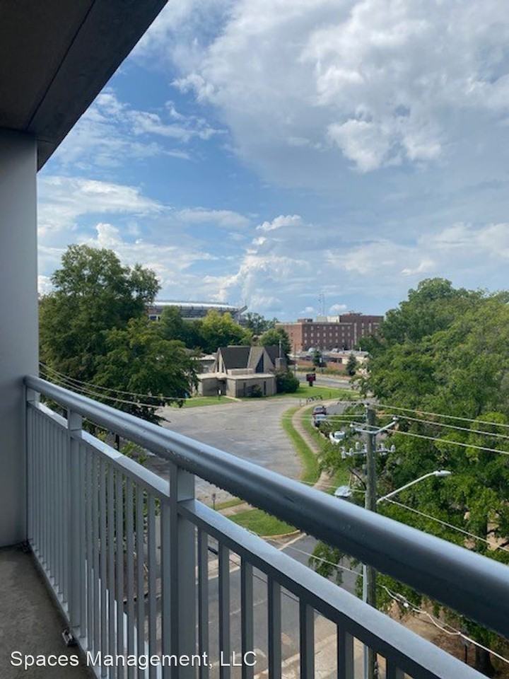 The Chimes 301 1018 Hackberry Lane - Photo 2 of 14