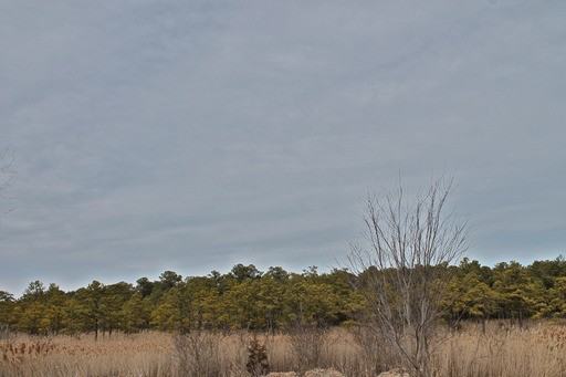 119 Messick Rd - Photo 2 of 10