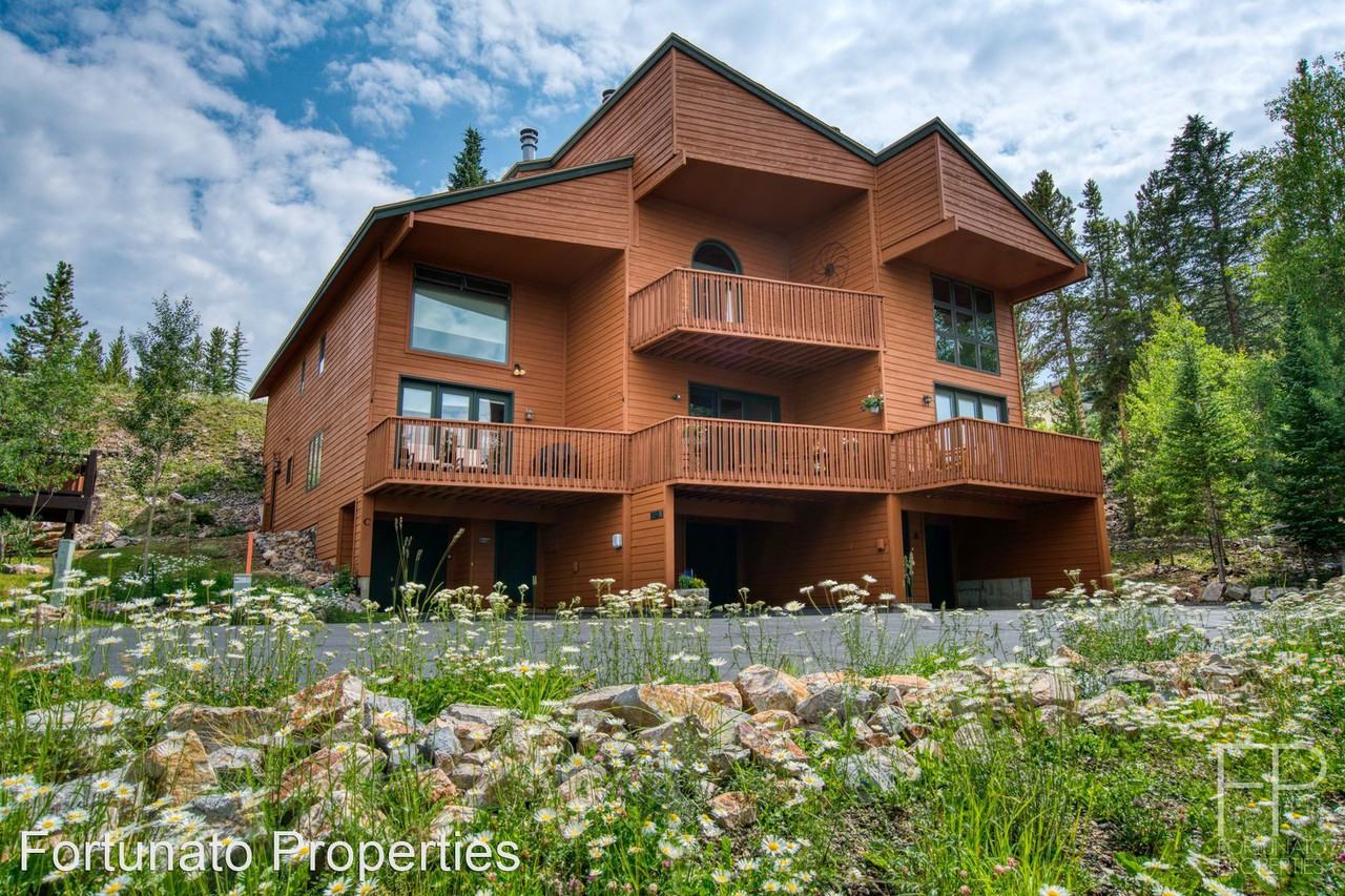 1682 Boreas Pass Rd #C - Photo 2 of 29