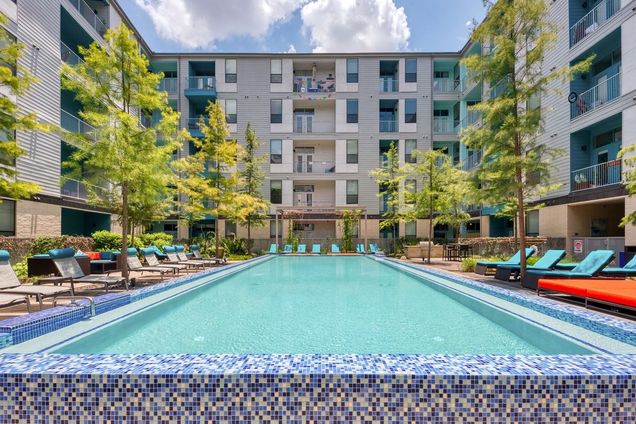 Agave - Photo 2 of 26