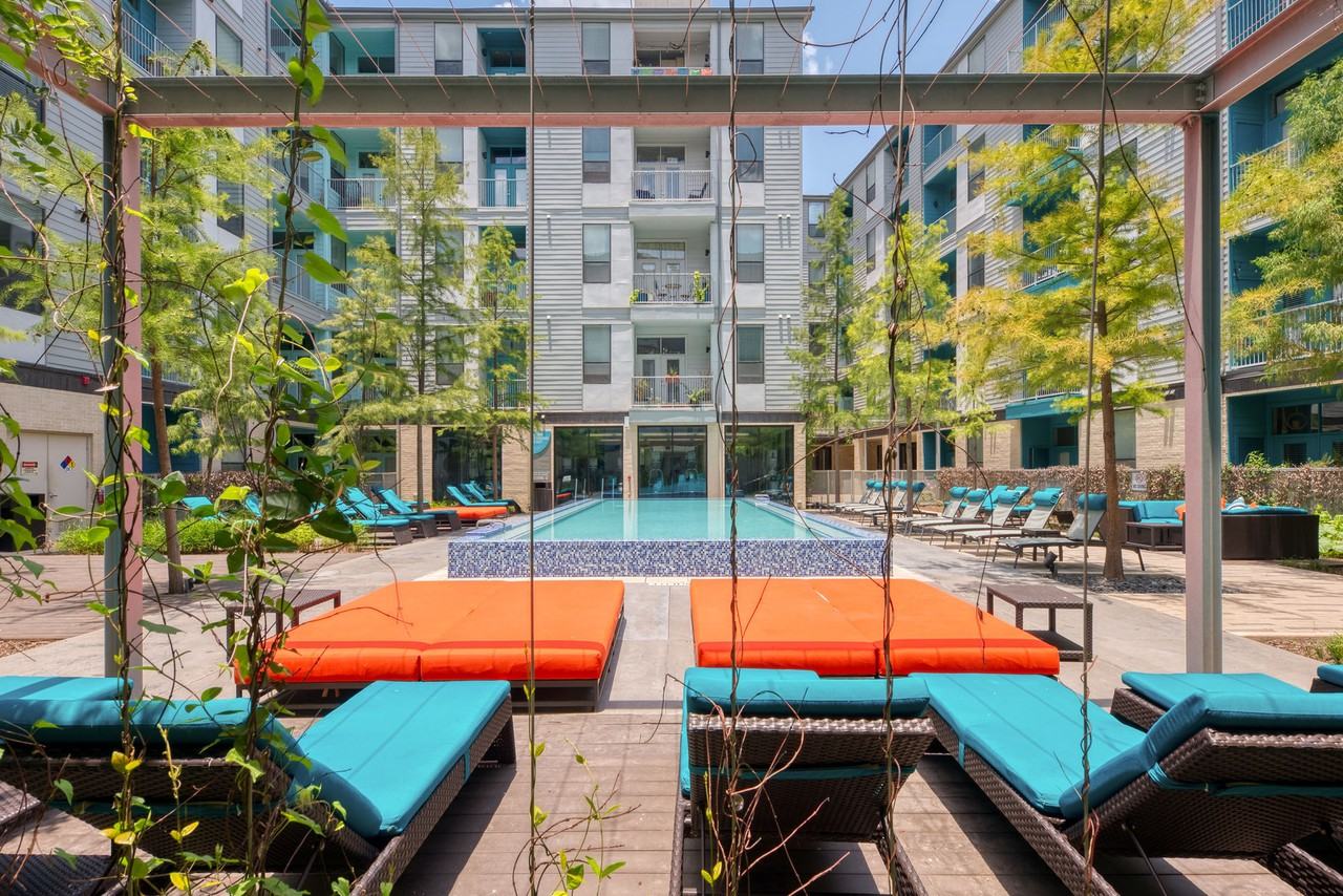 Agave - Photo 6 of 26