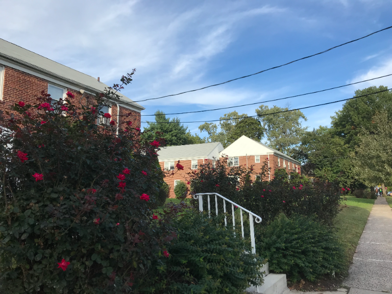 316 Magnolia St - Photo 2 of 19