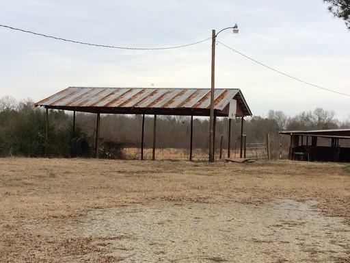 848 Silver Run Rd - Photo 2 of 12