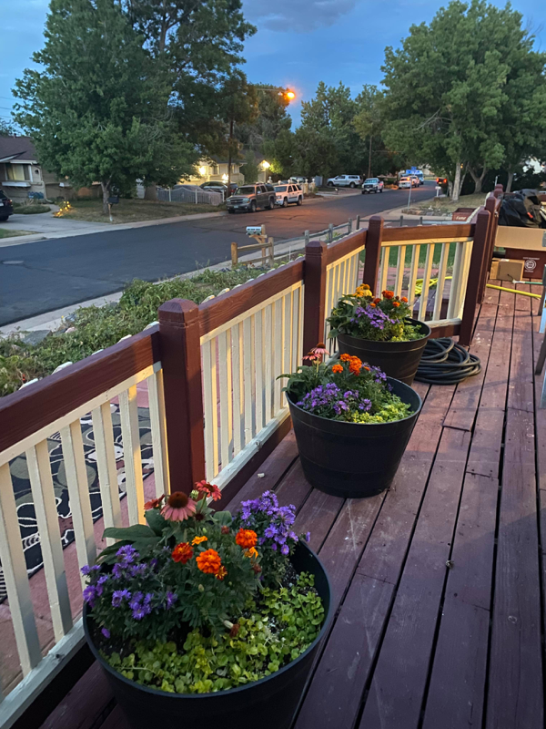 9780 West Dakota Avenue - Photo 3 of 19