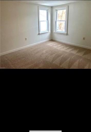 1213 Meadowbrook Blvd - Photo 4 of 10