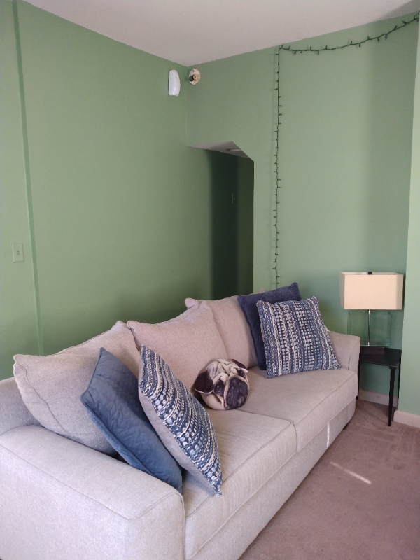 406 E Lima St #B - Photo 3 of 12