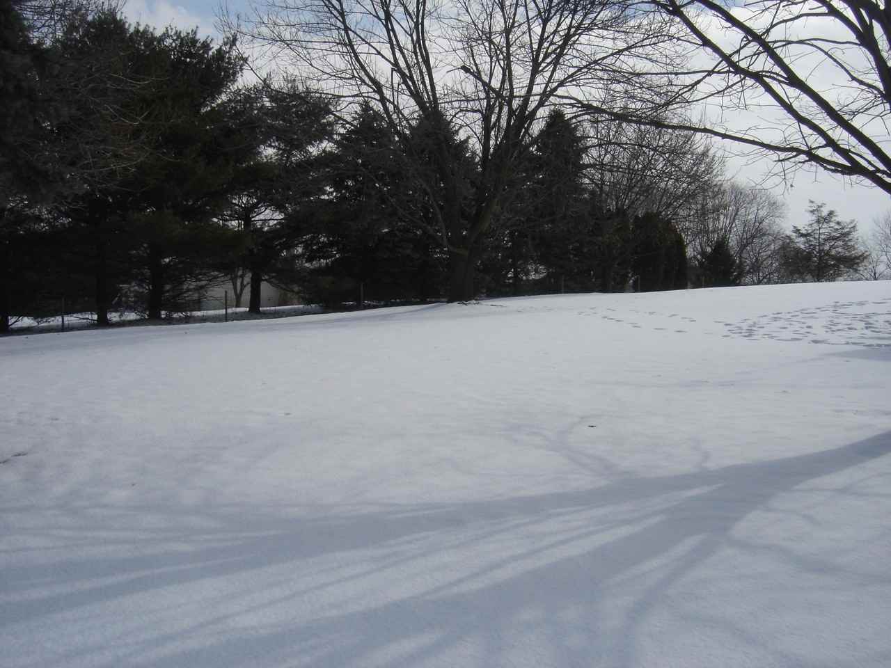 280 Chestnut Hill Rd - Photo 3 of 13