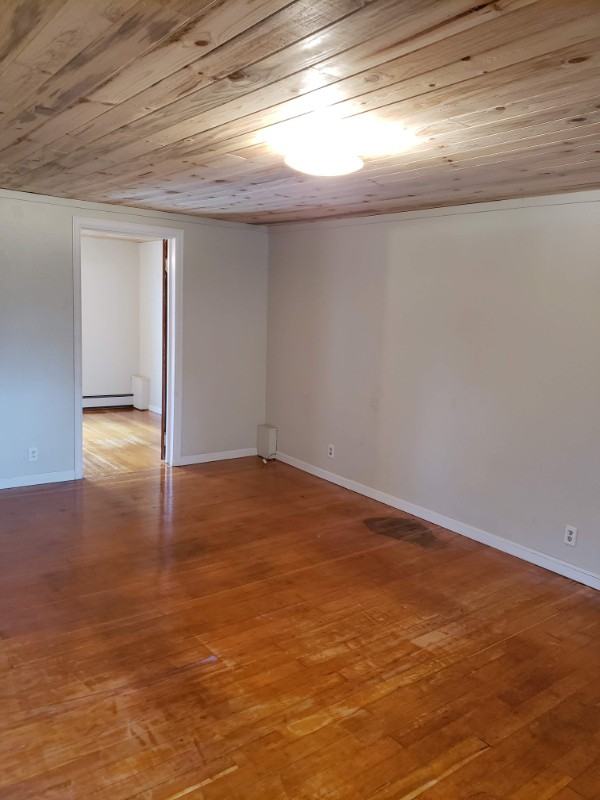 839 Steinfelt Pkwy - Photo 4 of 14