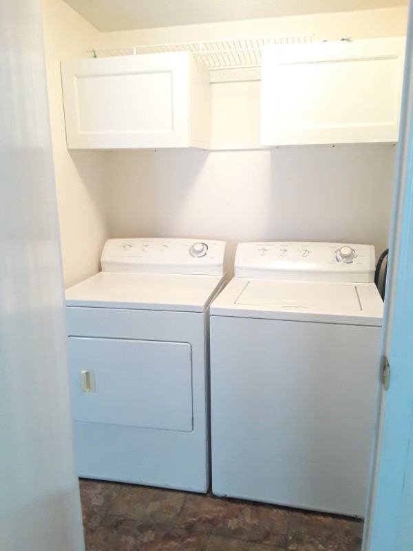 503 Uhland Rd - Photo 7 of 14