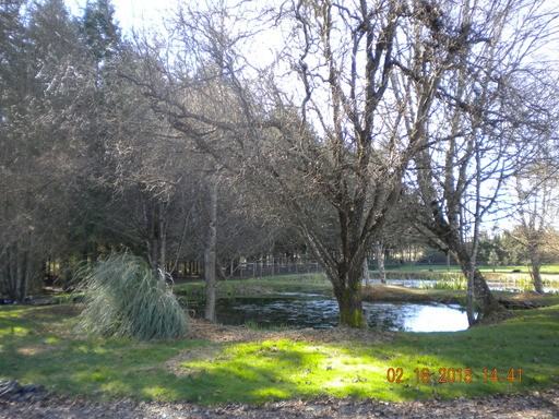 34235 Ford Mill Rd - Photo 3 of 7