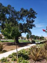 18921 Chicory Lane - Photo 1 of 1