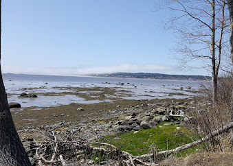 7 Beachwood Bay Dr #4 - Photo 3 of 15