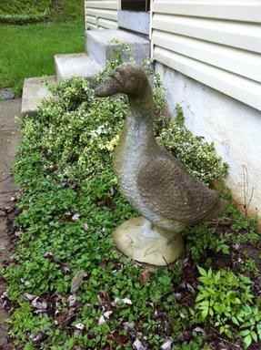 72 Geiger Ave - Photo 2 of 22