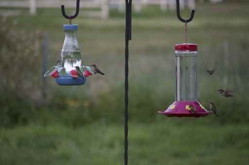 90635 OR-202 - Photo 2 of 9