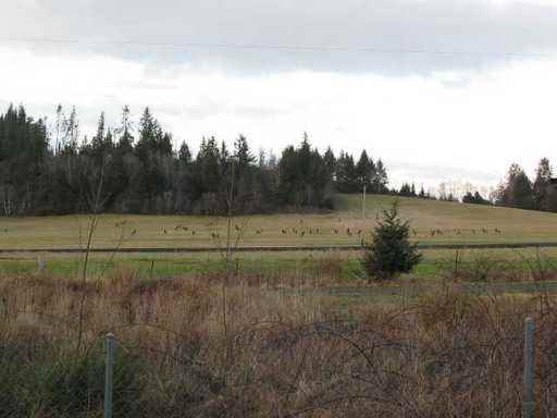 90635 OR-202 - Photo 3 of 9